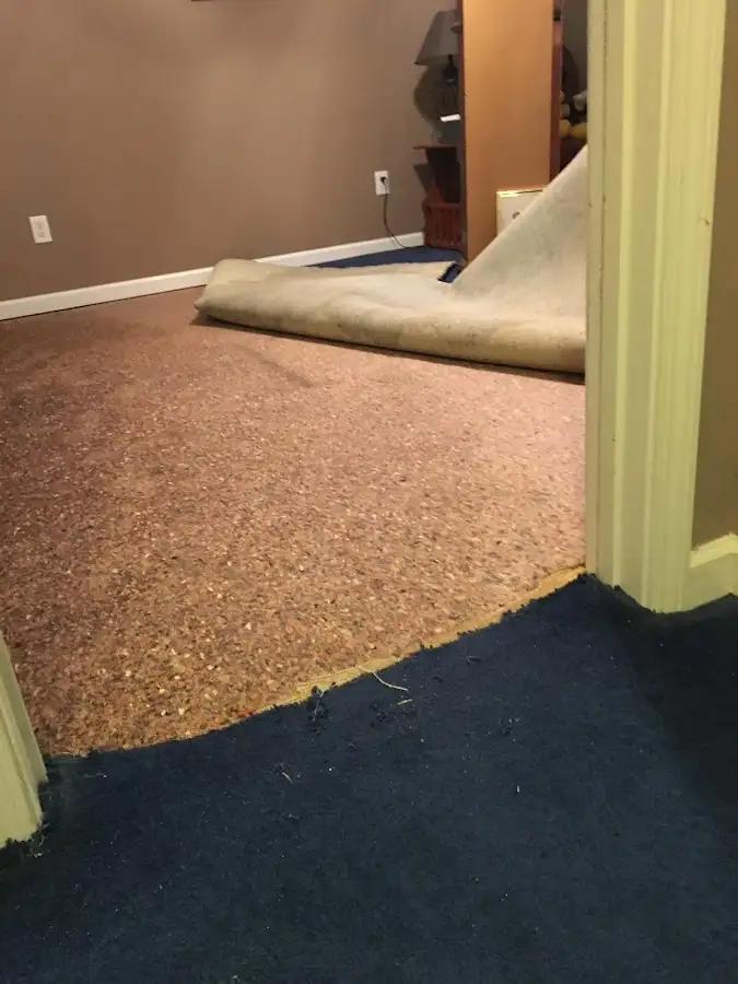 Carpet pad removal revealing water damage during Drying & Dehumidification in Vashon