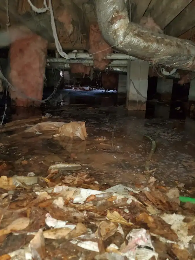 Crawl space flood assessment for Commercial Water Damage Restoration in Vashon