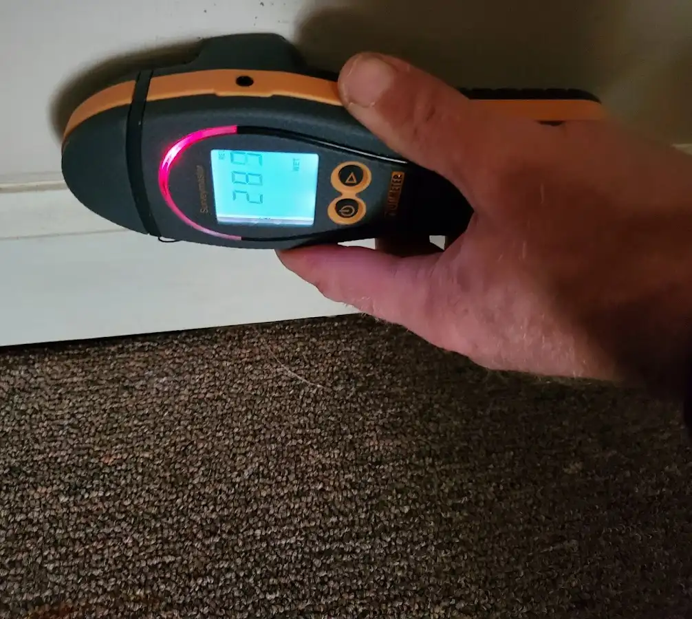 Moisture detection at baseboard during Sewage Cleanup & Sanitation in Vashon